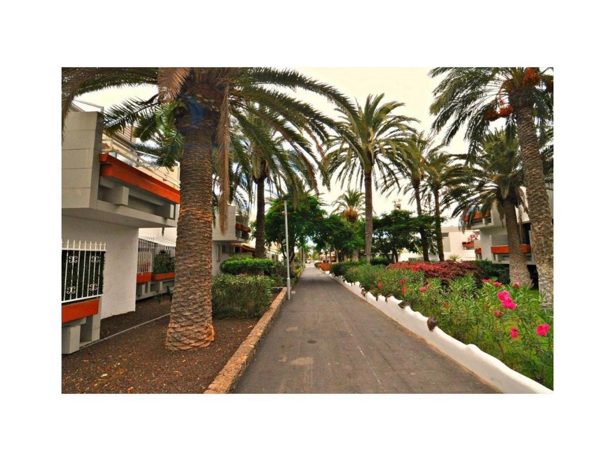 Apartamento Primavera Costa Del Silencio Eksteriør bilde